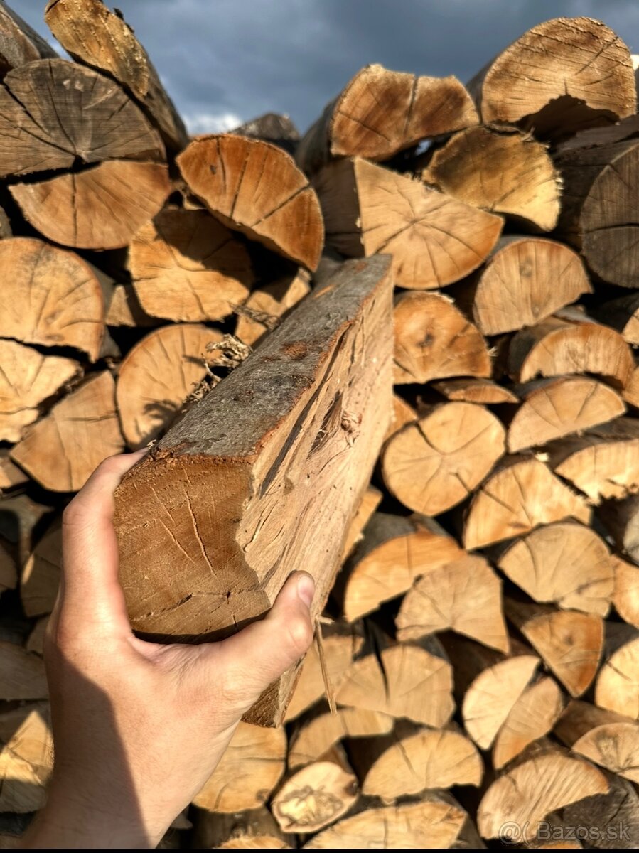 Palivove drevo - 3