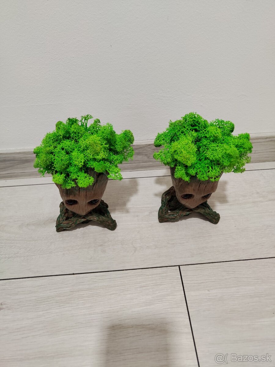 Groot so stabilizovanym machom - 3