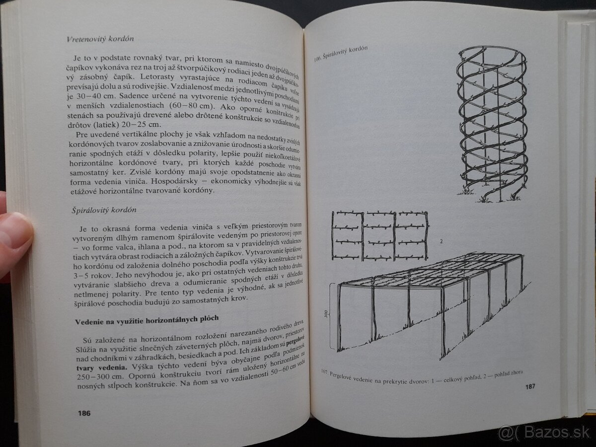 Rez a vedenie viniča - 3