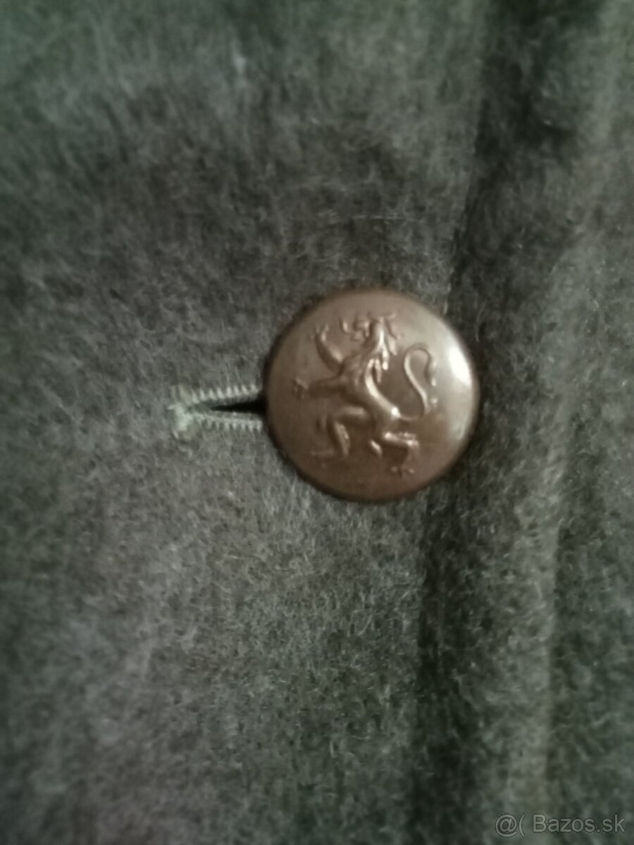 Koprivak belgicko - 3