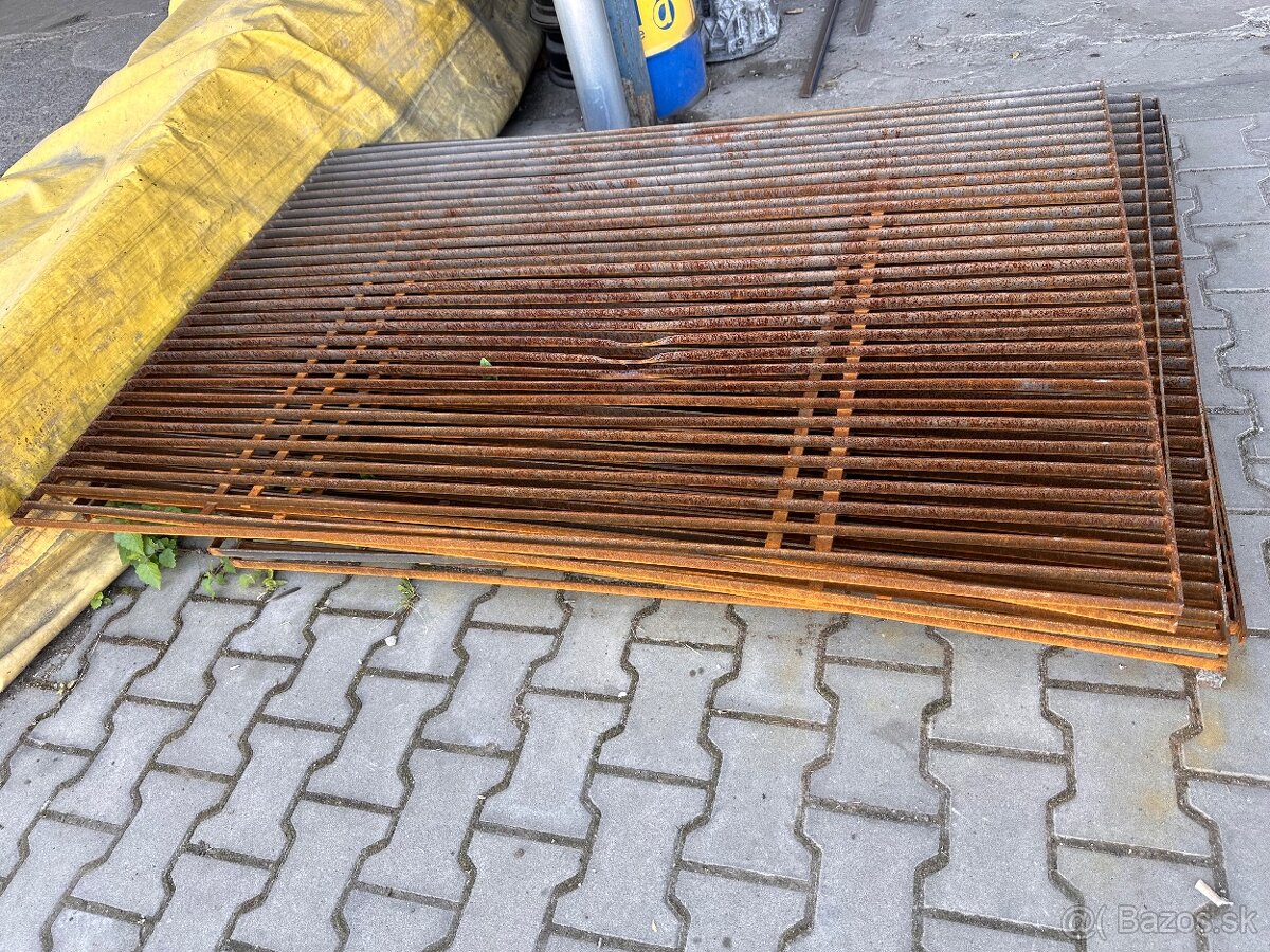 Zelezne rosty z pasoviny - 3