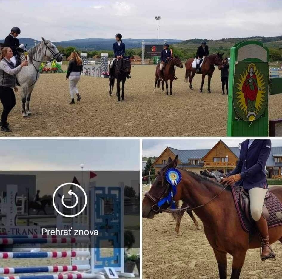 Športový pony s PP - 3