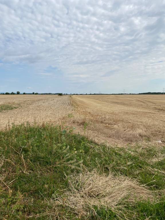 ASSENZIO – investícia do budúcna – orná pôda 2,54 ha, Most p - 3