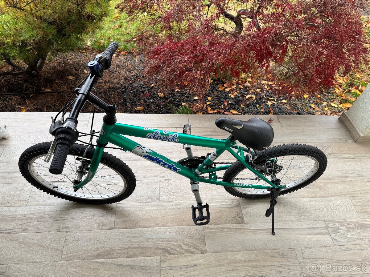 Detský bicykel Alarik 20” s príslušenstvom - 3