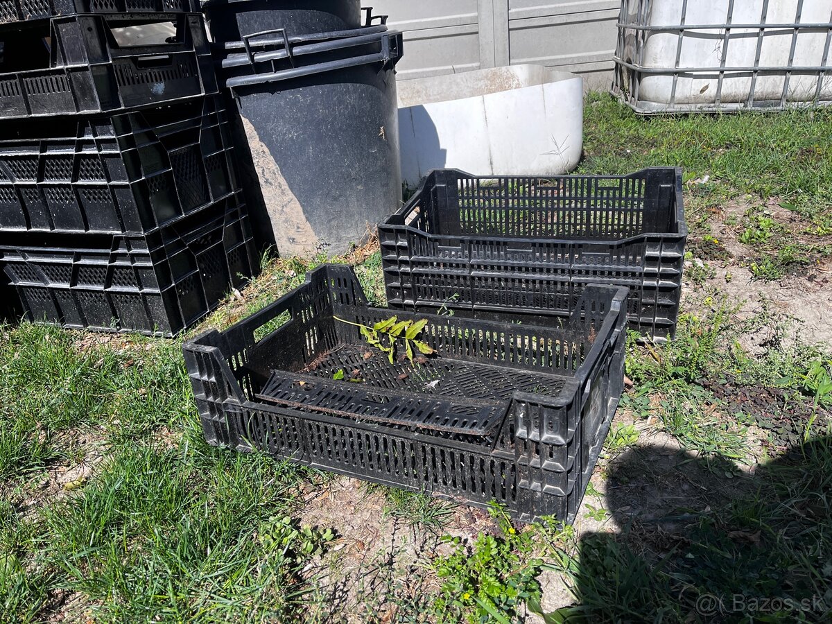 Plastové bedničky - 3