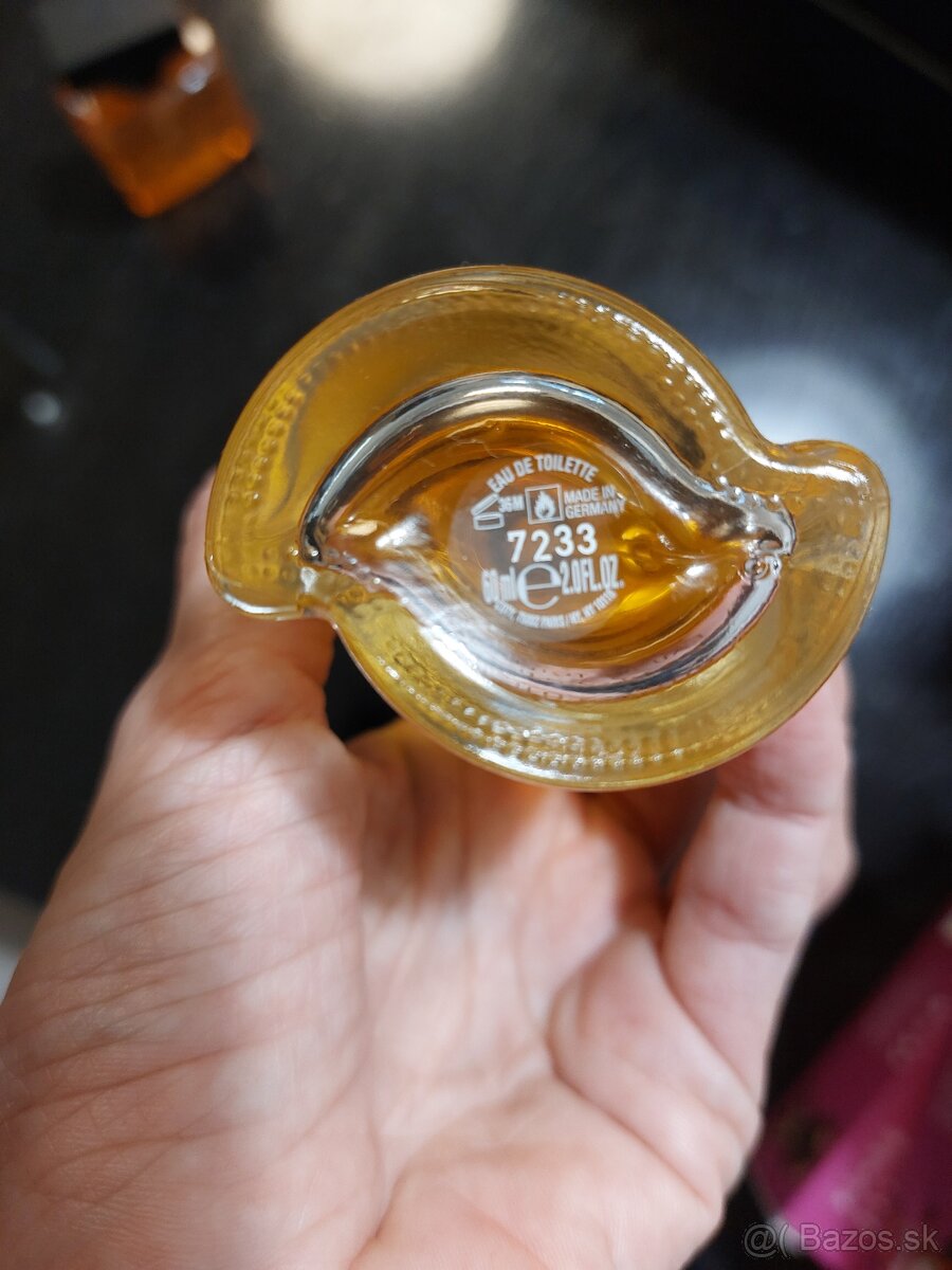 Gabriela Sabatiny - 3