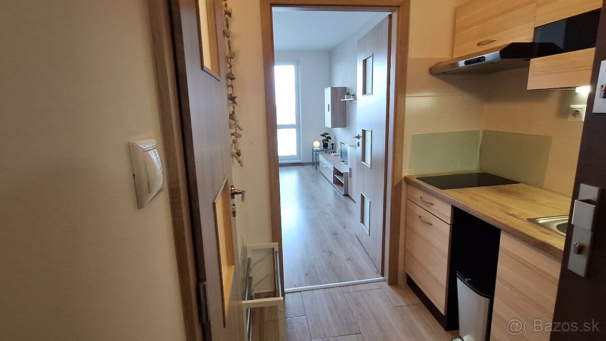 Prenajom garsonky v Holici - 3