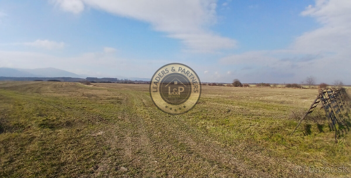 Na predaj - investičný pozemok v obci Sečovská Polianka - 3