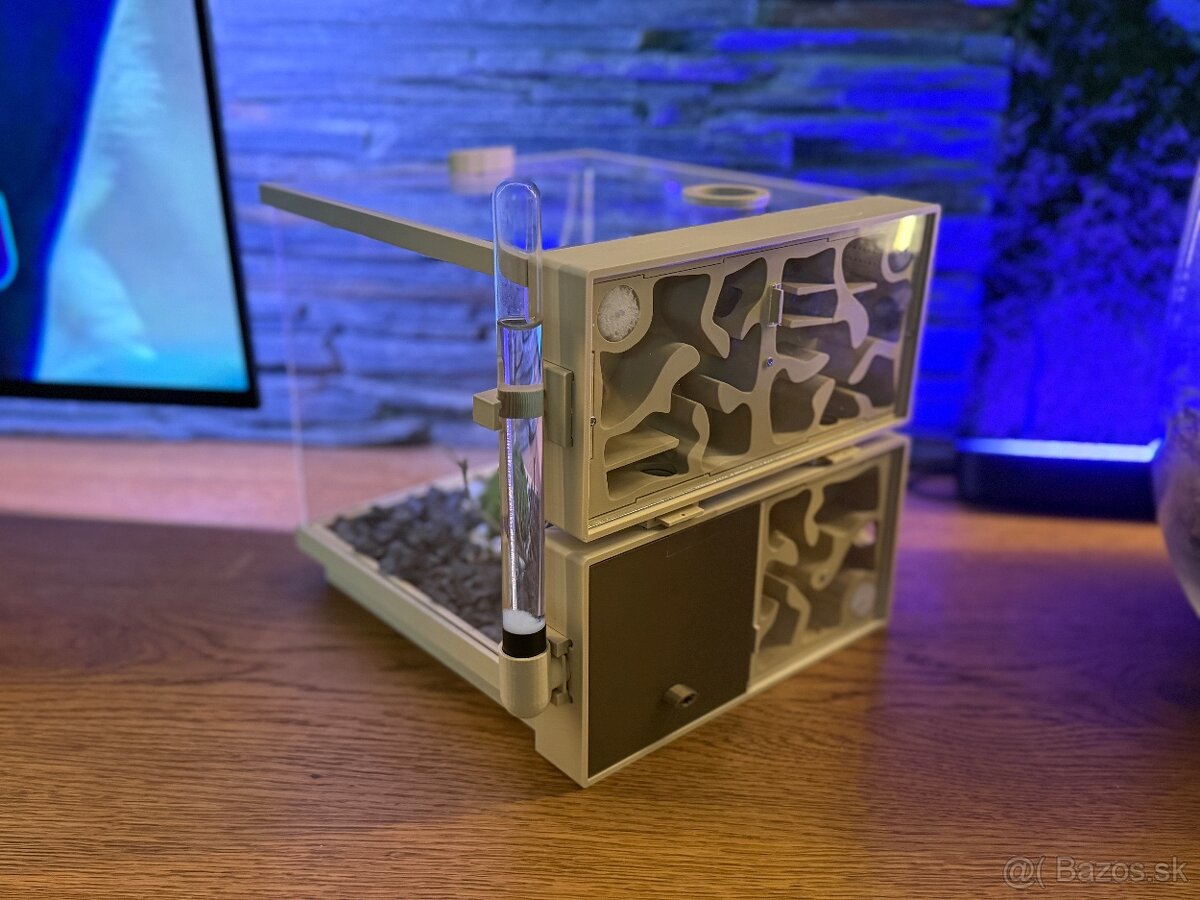 🐜 Predám formikárium s mravcami Camponotus nigrescens - 3