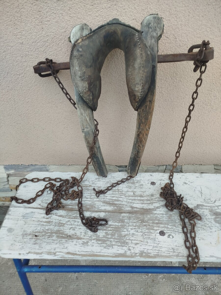 Predám drevené koleso a jarmo - 3