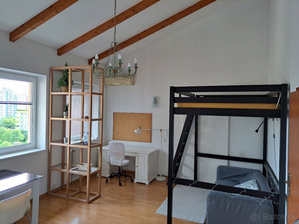 VEĽKÁ IZBA s vysokým stropom - 3