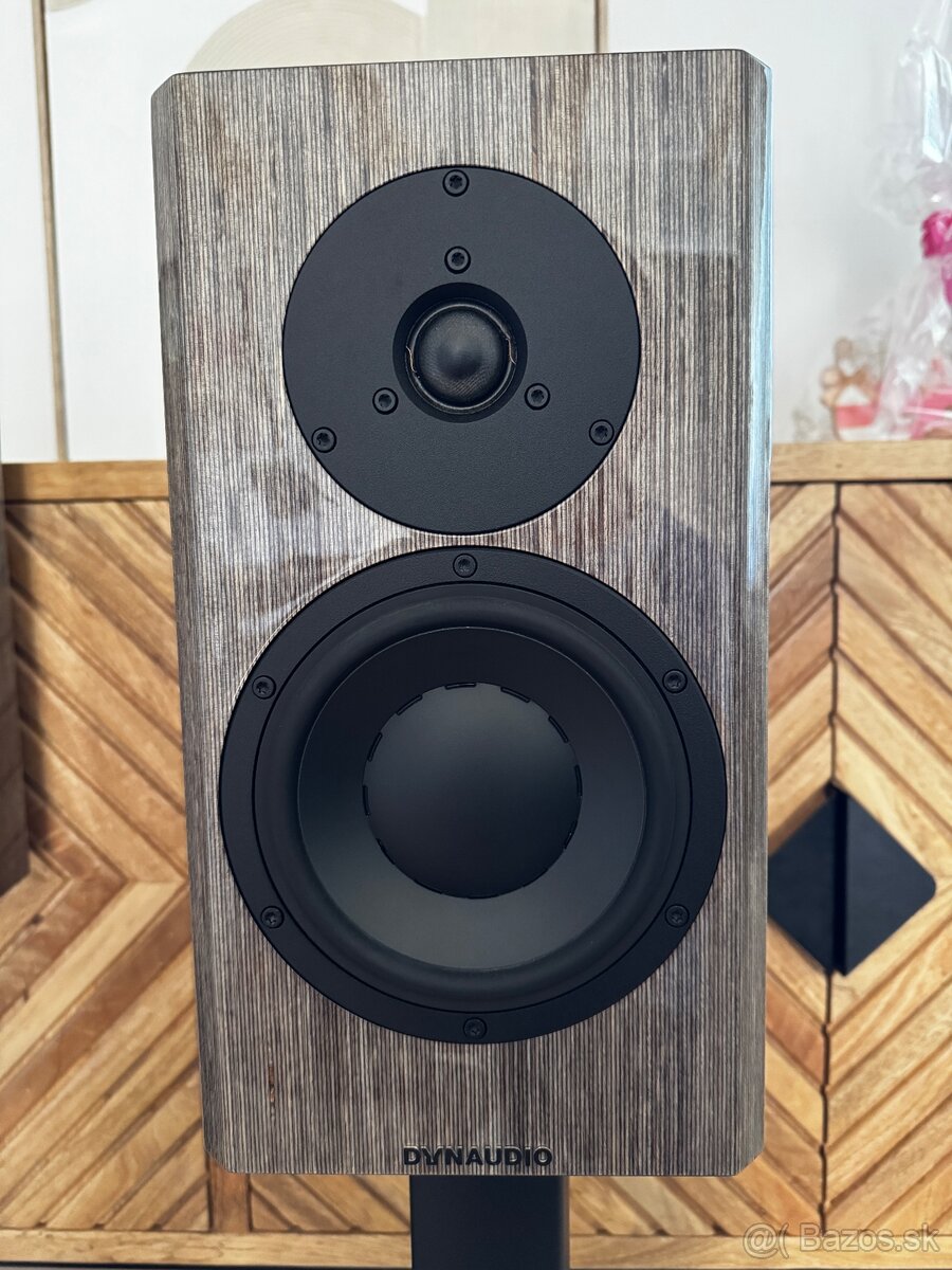 Dynaudio special 40 - 3