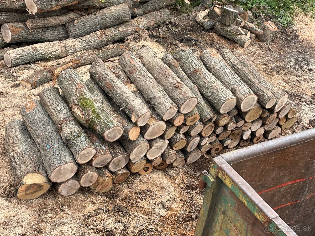 Palivove drevo - 3