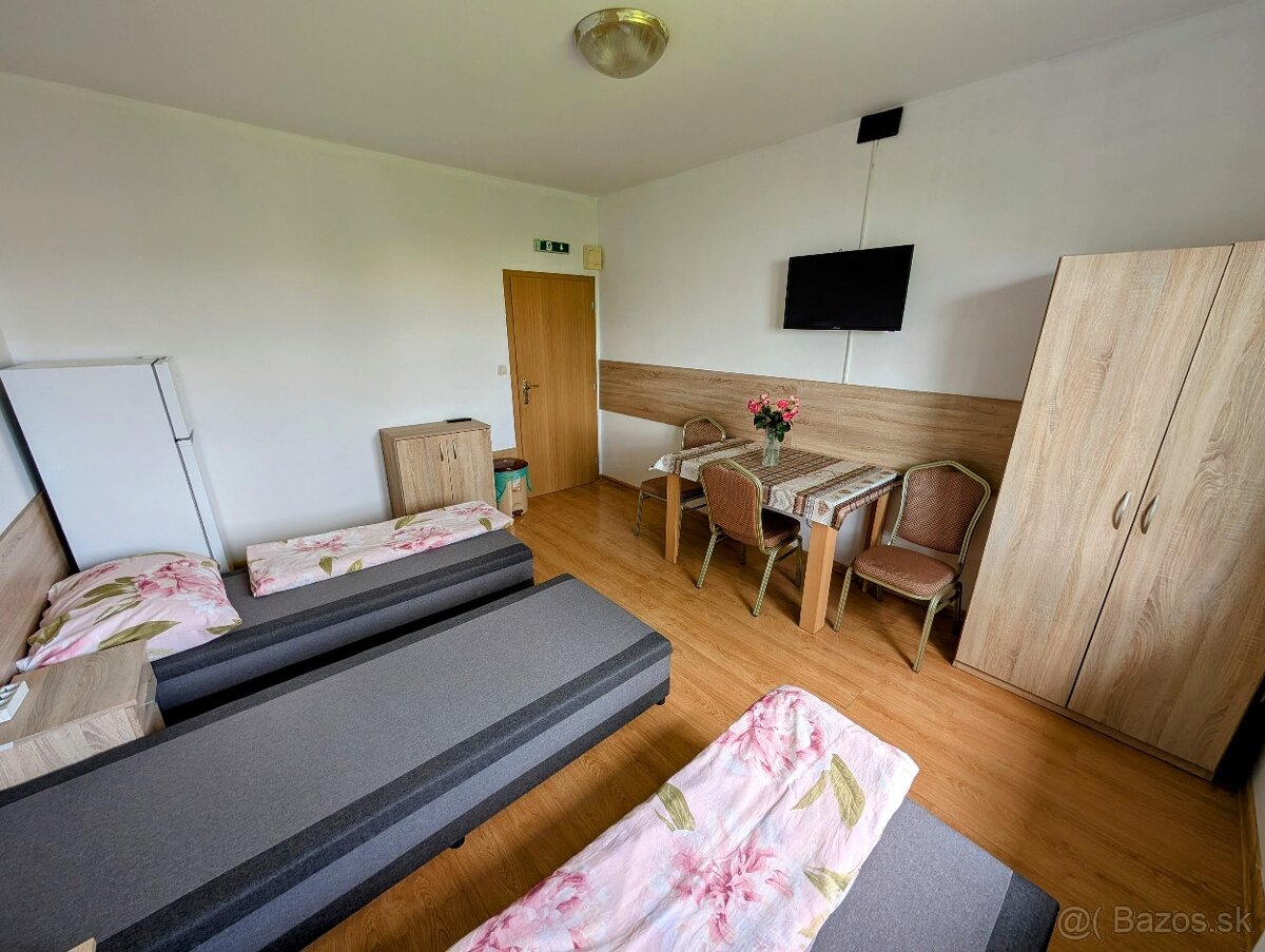 Ubytovanie Dolné Vestenice - 3