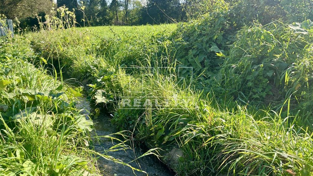 ZNÍŽENÁ CENA - Na predaj veľkorysý pozemok, Žabokreky - 3