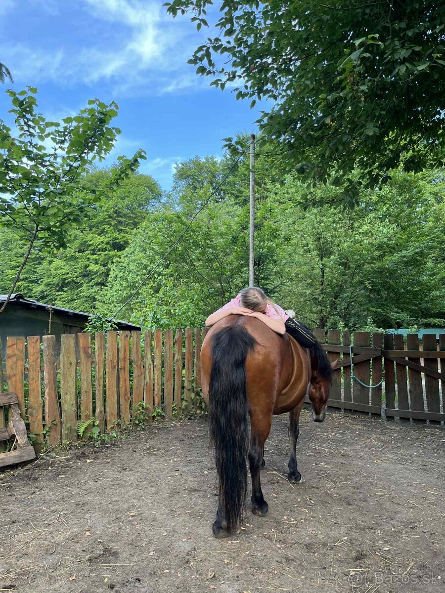 Kobyla na predaj - 3