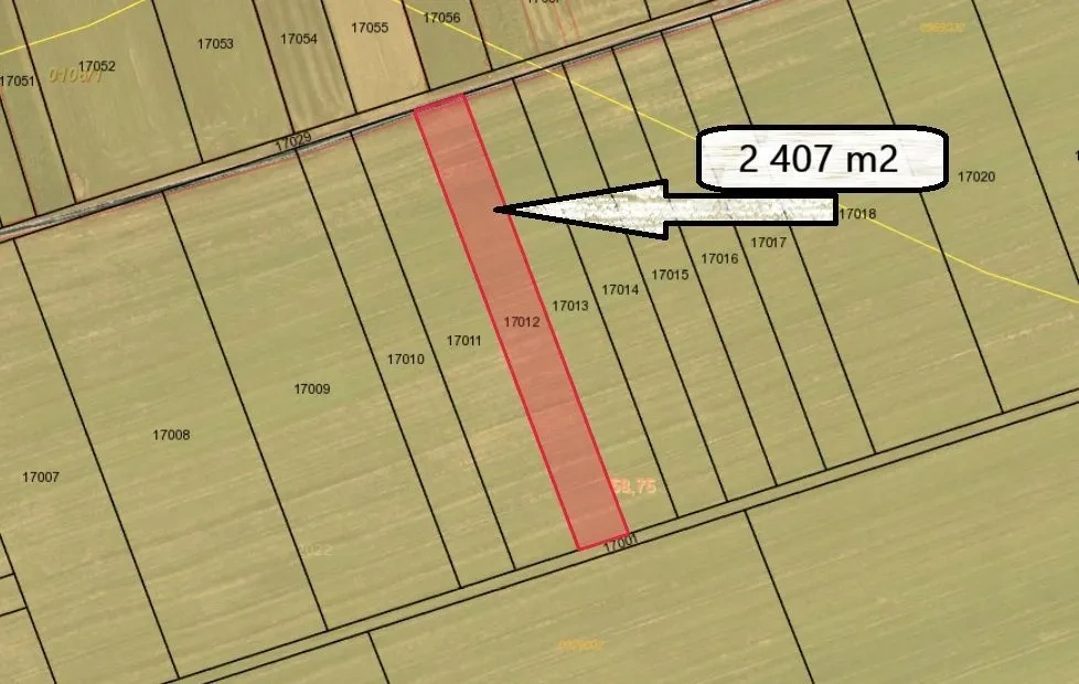 ORNÁ PÔDA V SPIŠSKEJ BELEJ - 3