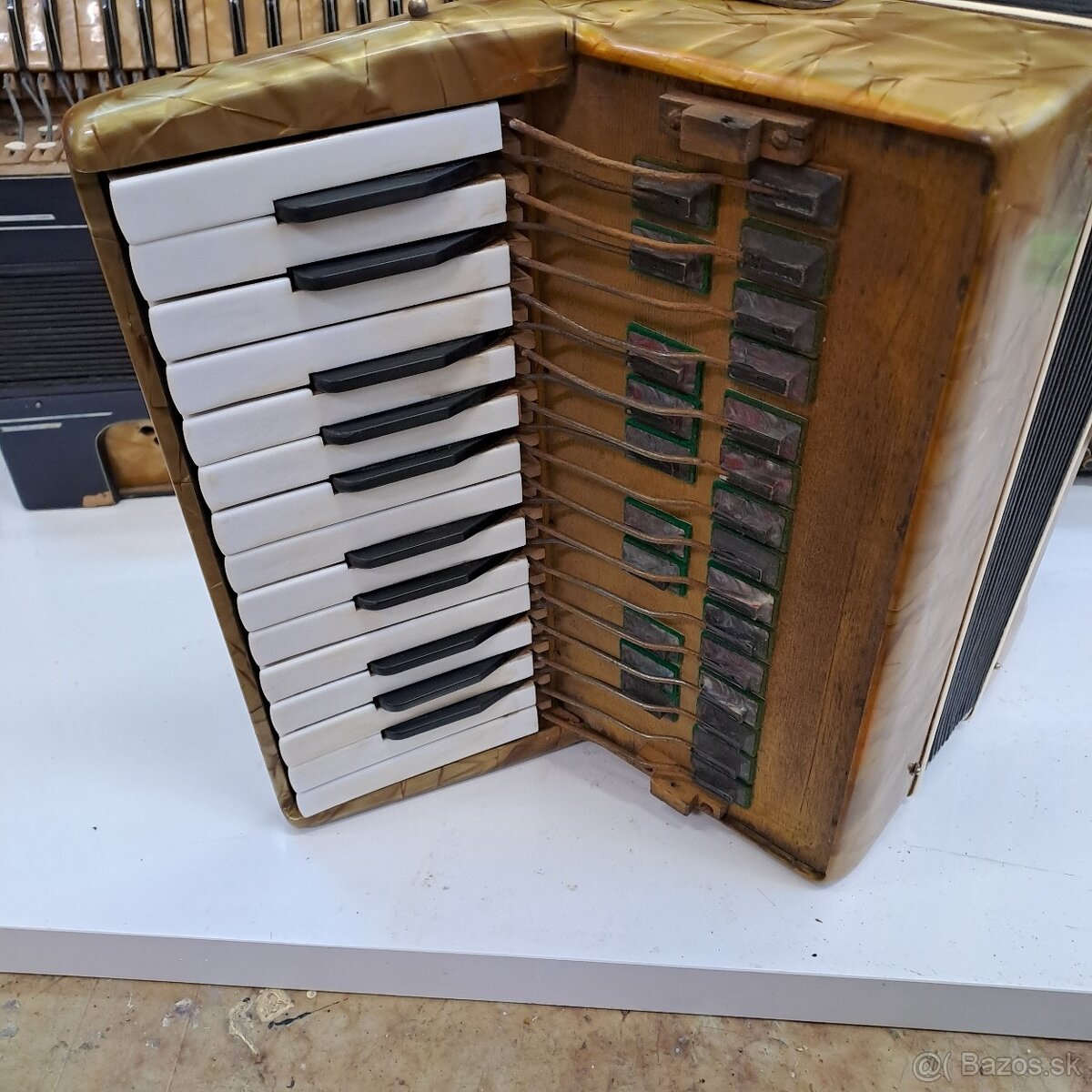 Harmonika 3ks za 100 EUR - 3