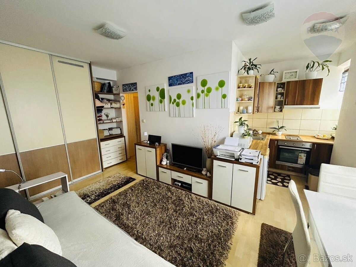 Na predaj 1 izbový byt s dvomi parkovacími miestami, Pieštan - 3