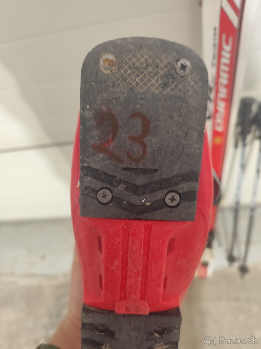 Lyžiarky a lyže - 3