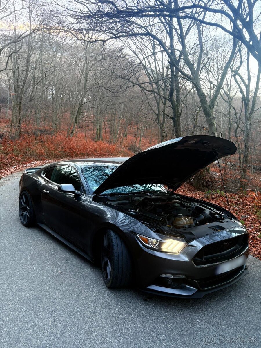 Mustang 2.3 🚀Top🚀 - 3