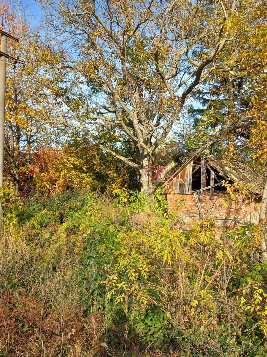 Veľký pozemok cca 3500m2 - 3