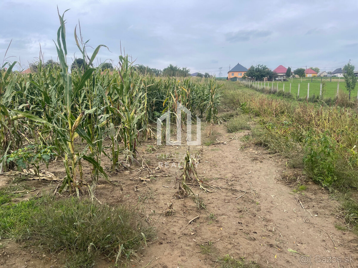Veľký slnečný pozemok na rodinný dom aj záhradu 3000m2, Kapi - 3