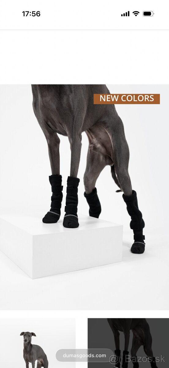 Zimne topanky taliansky chrtik - 3