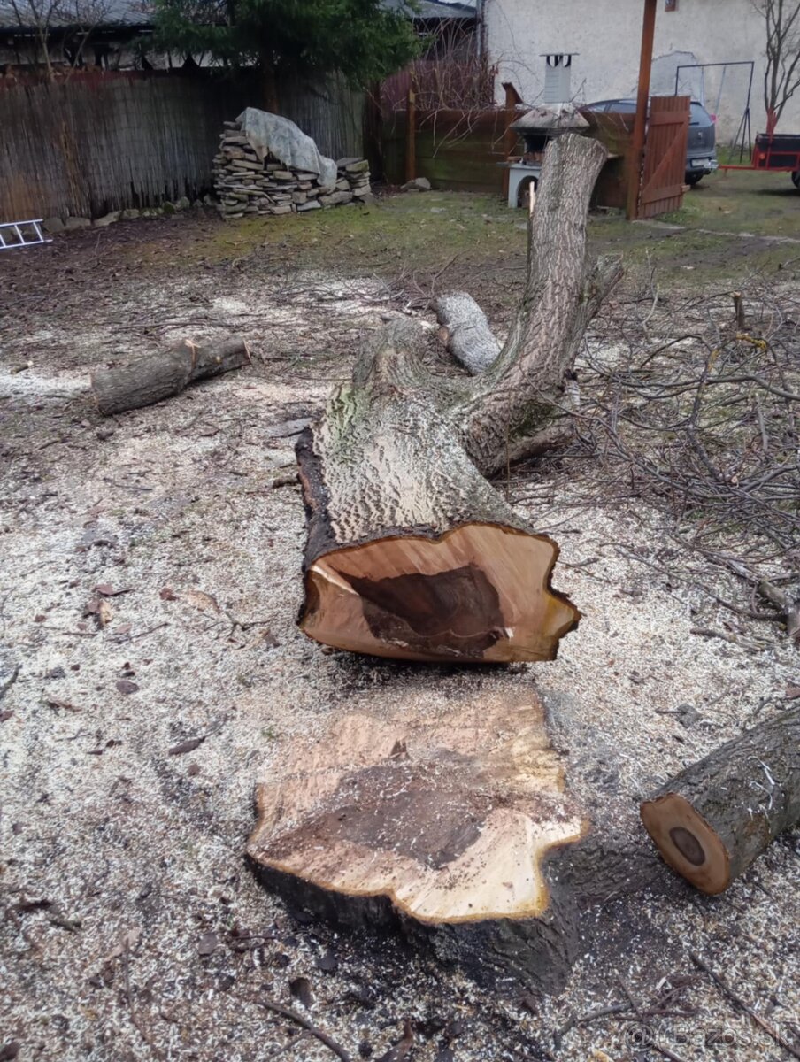 Predám orechové drevo - 3