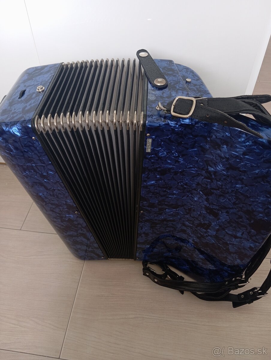 Akordeon delicia - 3