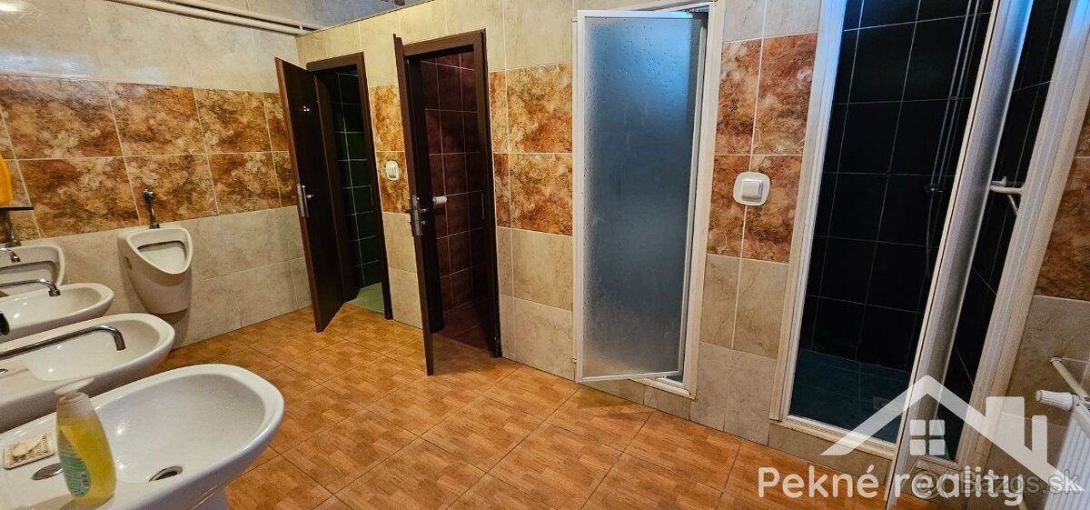 Prenájom skladových priestorov v širšom centre mesta Zvolen - 3