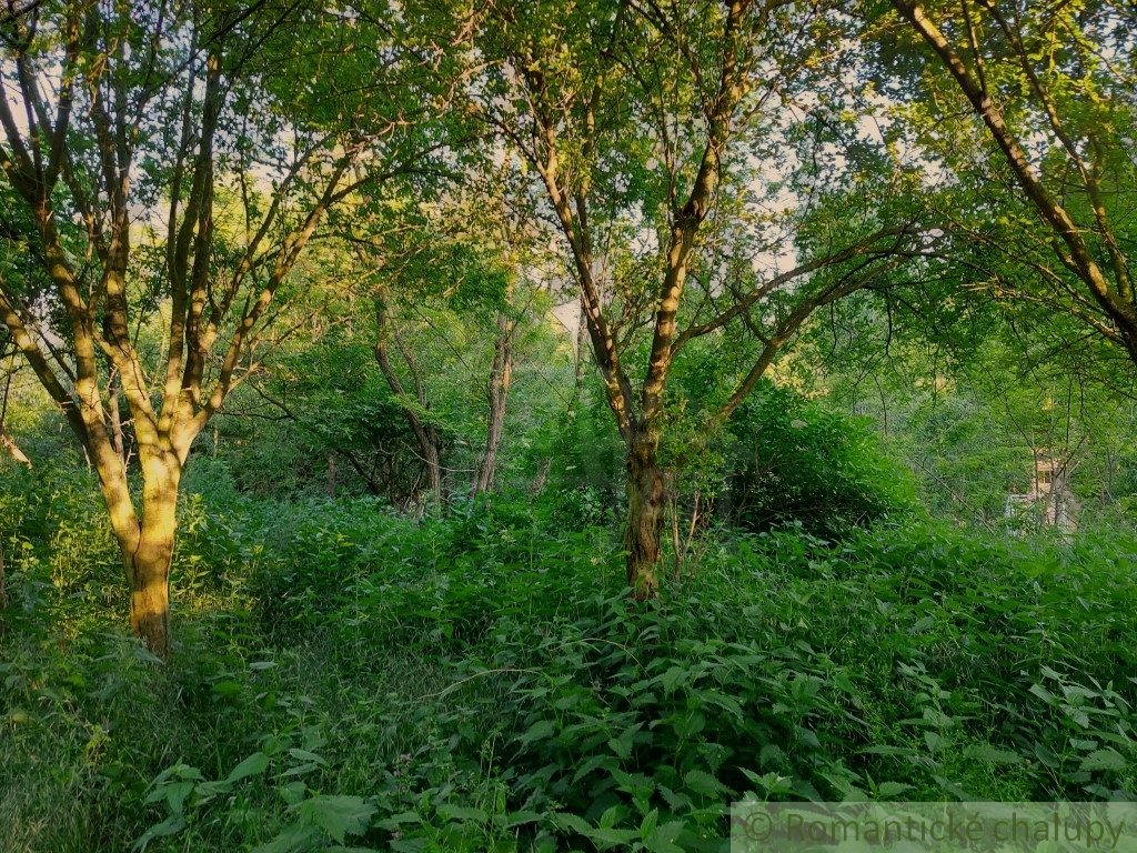 Lesnatý pozemok s pozostatkami pôvodného domu v malebnej d - 3