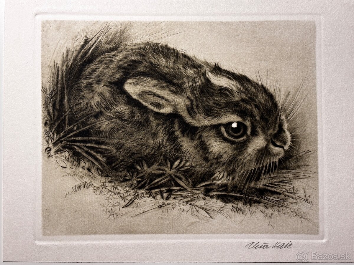 Aleš Vaic - lovecka tematika - 3