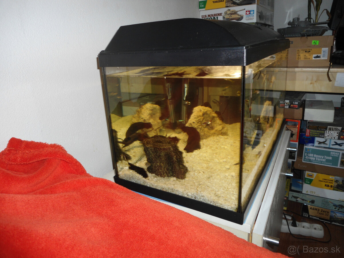 Akvárium 50 l - 3