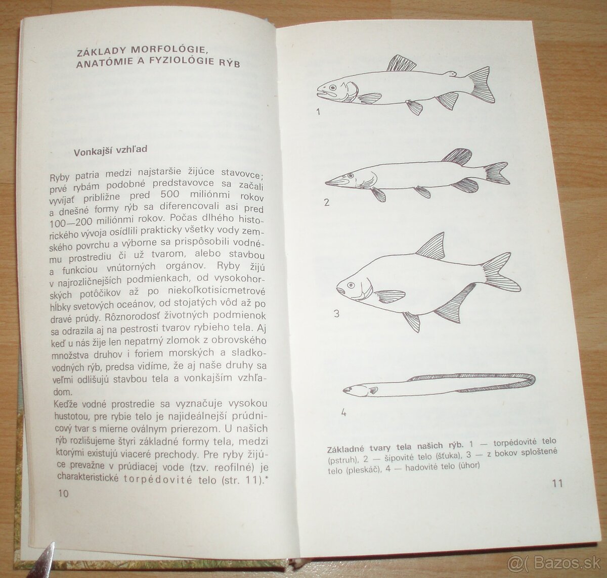 Atlas rýb - 3