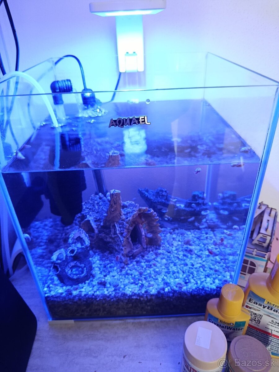 Aqvarium - 3