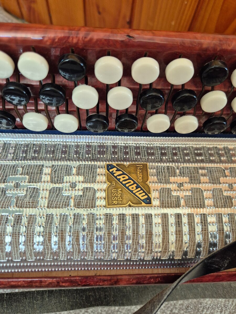 Bajan/harmonika Razno, USSR - 3