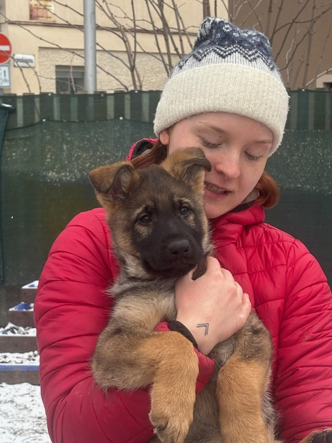 Nemecký ovčiak s PP - 3