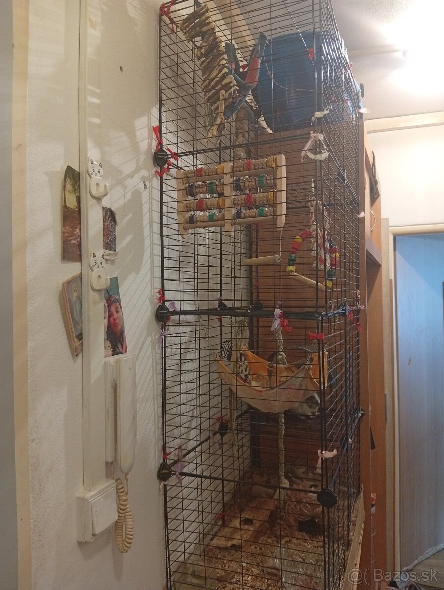 Darujem osmakov degu - 3