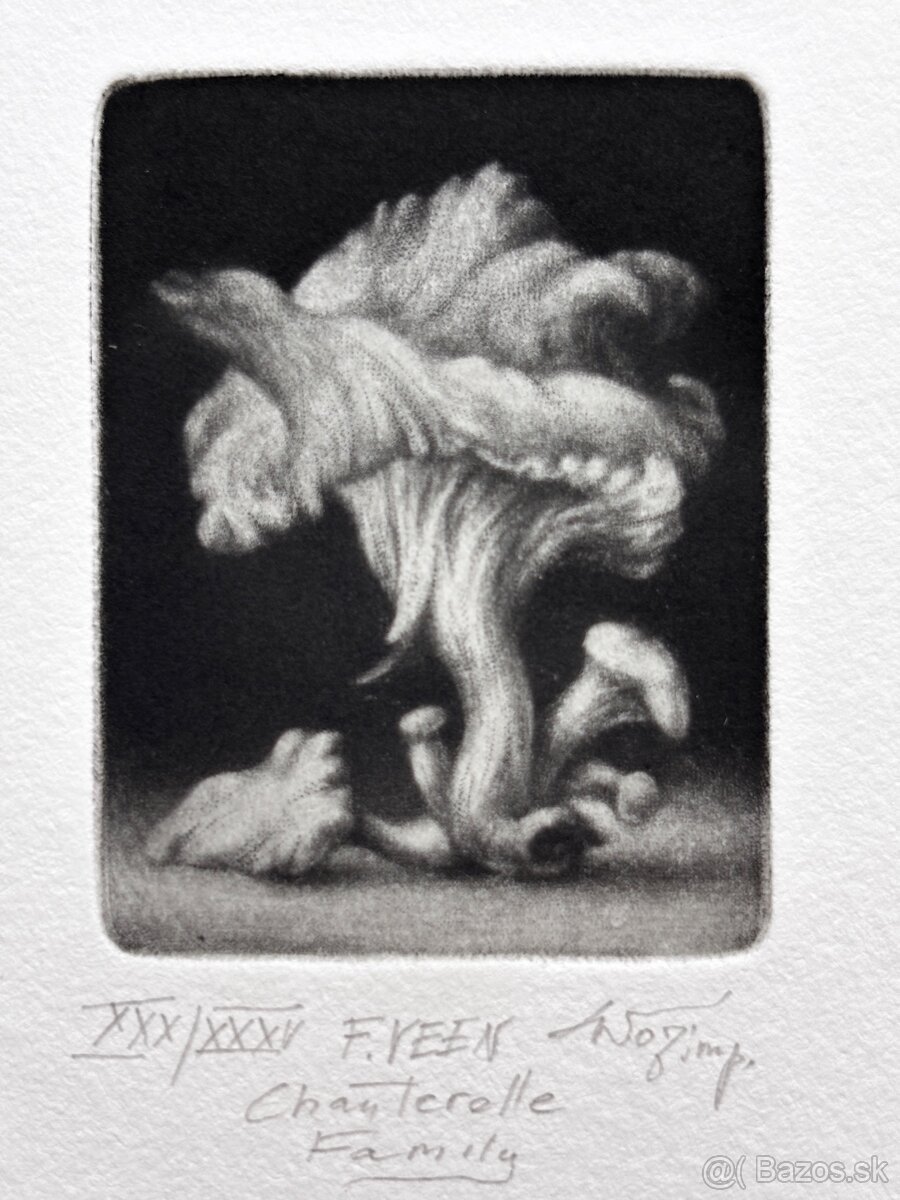 Konstantin Chmutin - 3