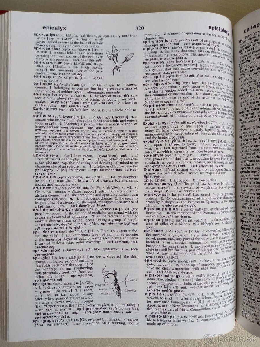 Anglický výkladový slovník - 3