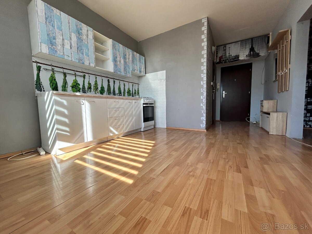 Predám 1izb byt s loggiou+pivnica v TOP LOKALITE - 3