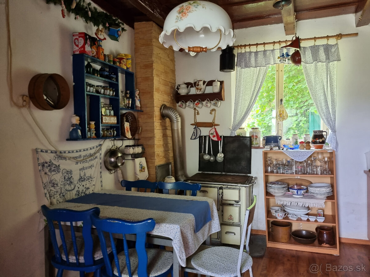 RD - CHALÚPKA a POZEMOK 1207m2 PRI LESÍKU KOPANICE MYJAVA - 3