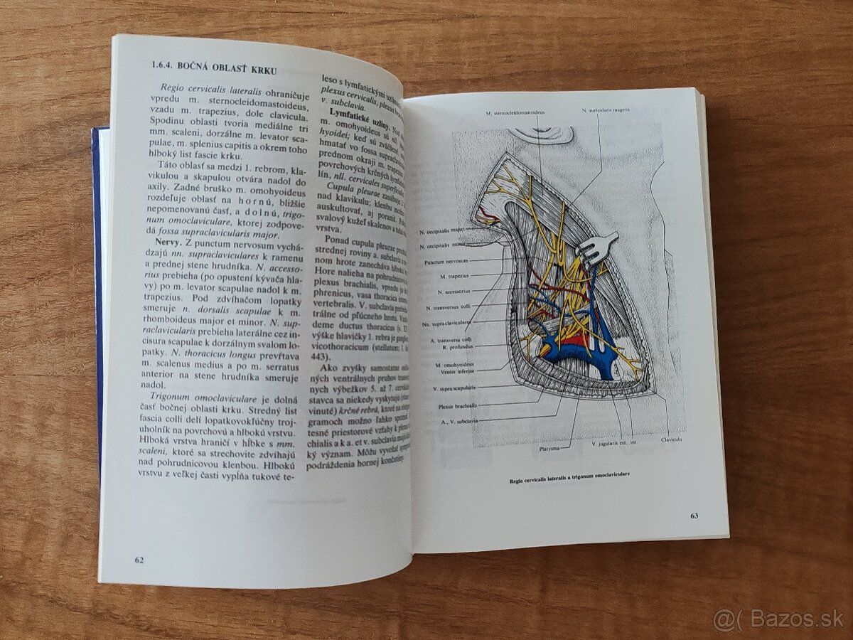 Medicína - 3