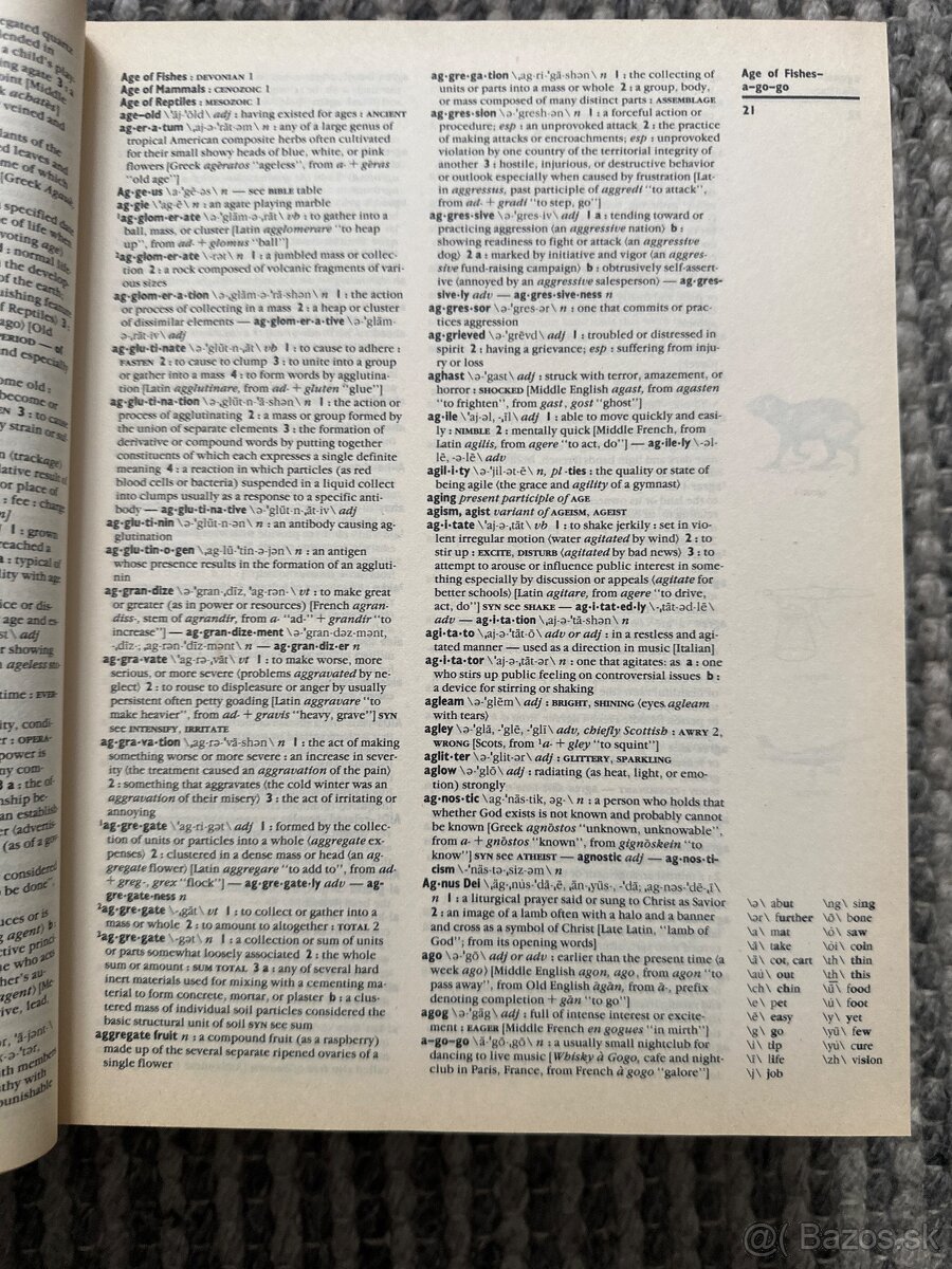 Webster’s new encyclopedic dictionary - 3