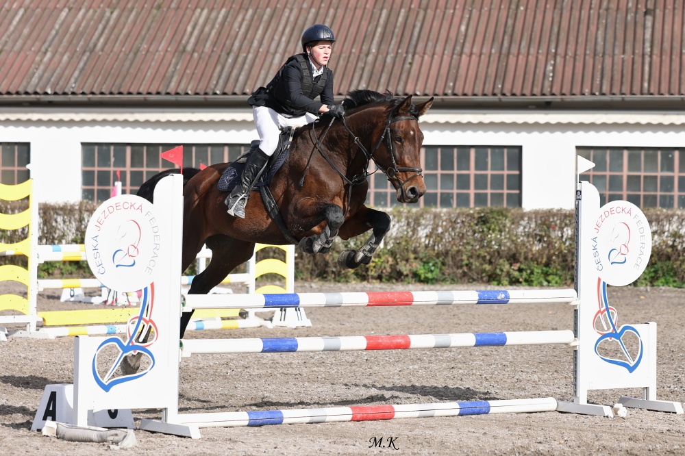 KOBYLKA PO BALLAST NA AKTIVNÍ REKREACI - 3