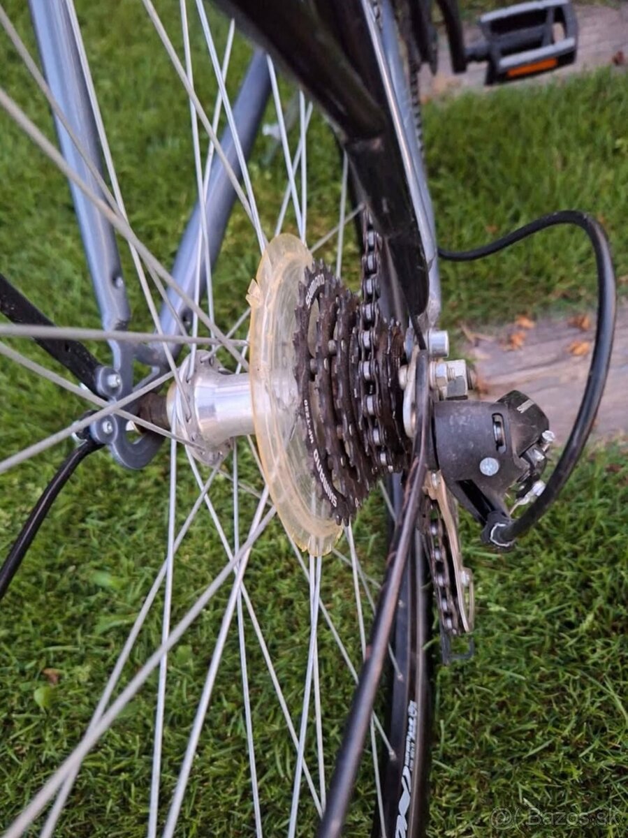 Pánsky bicykel Dema Lugo - 3