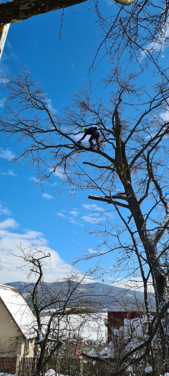 Pilenie a orezavanie stromov - rizikove - 3