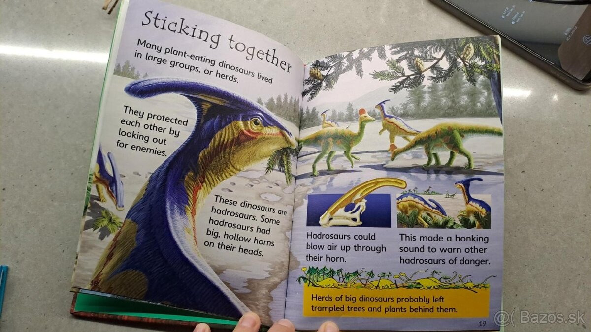 Usbourne Beginers Dinosaurus - 3