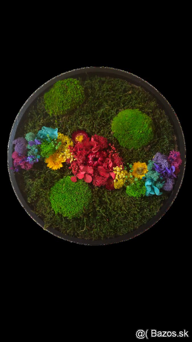 Machový obraz dúha - 3